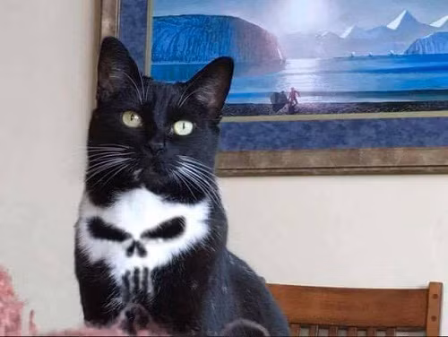 10-anh-hai-hot-nhat-facebook-trong-ngay-7