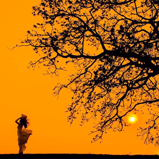 Á khôi ĐH Nội vụ đẹp như nàng thơ trong ánh nắng chiều ảnh 11