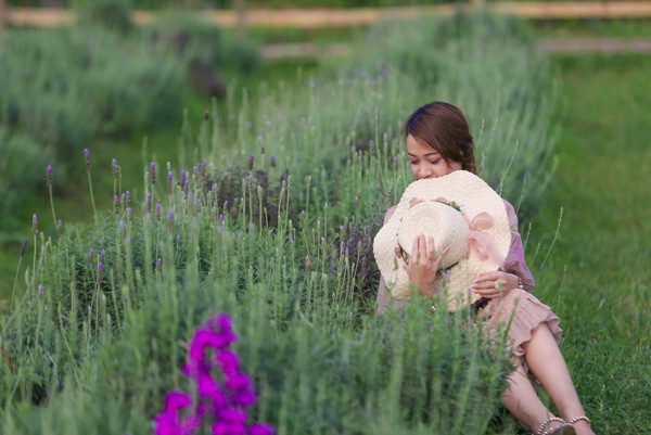 Vườn oải hương gần 2.000m2 - điểm check-in mới toanh hút giới trẻ Hà Nội ảnh 3 Vườn oải hương gần 2.000m2 - điểm check-in mới toanh hút giới trẻ Hà Nội ảnh 3