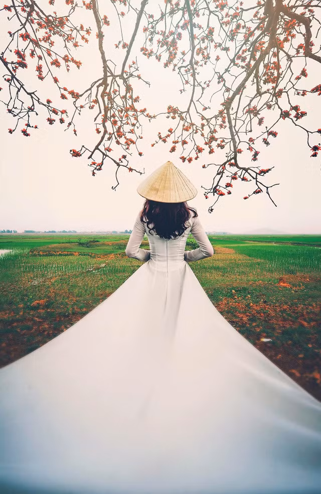 Á khôi ĐH Nội vụ đẹp như nàng thơ trong ánh nắng chiều ảnh 2