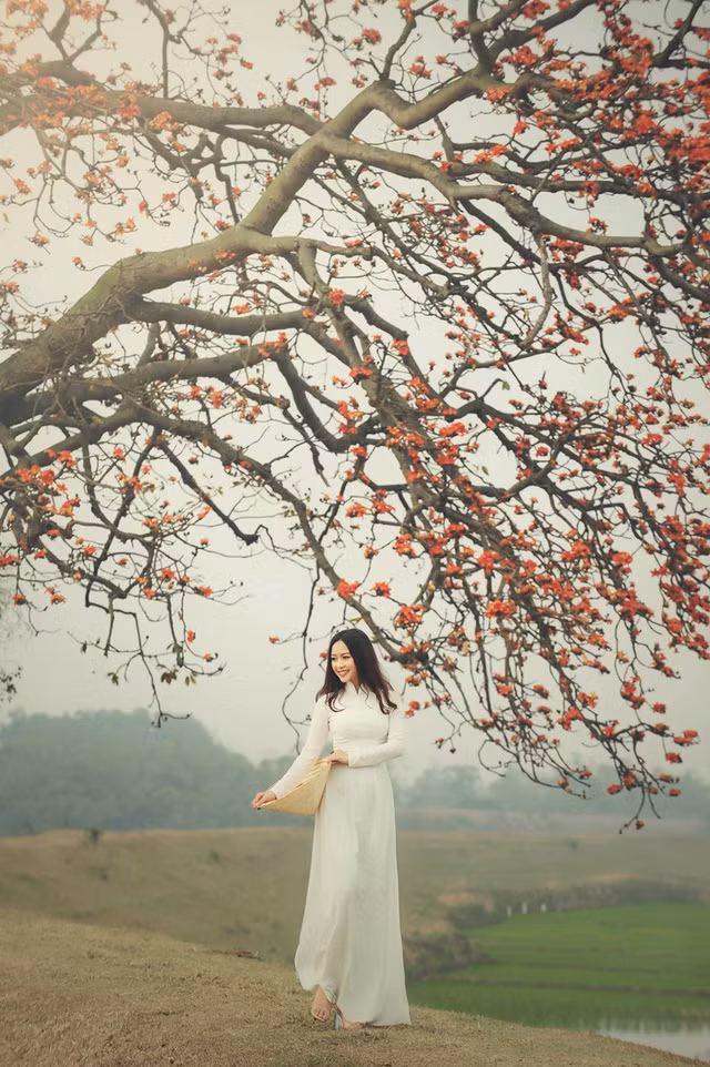 Á khôi ĐH Nội vụ đẹp như nàng thơ trong ánh nắng chiều ảnh 4