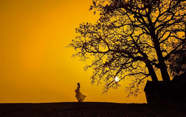 Á khôi ĐH Nội vụ đẹp như nàng thơ trong ánh nắng chiều ảnh 10