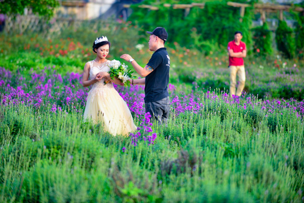 Vườn oải hương gần 2.000m2 - điểm check-in mới toanh hút giới trẻ Hà Nội ảnh 19 Vườn oải hương gần 2.000m2 - điểm check-in mới toanh hút giới trẻ Hà Nội ảnh 19