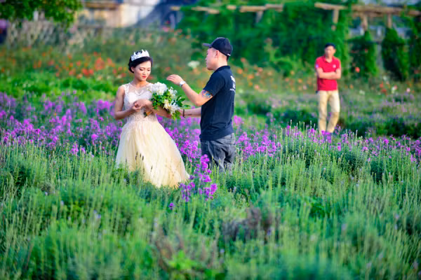 Vườn oải hương gần 2.000m2 - điểm check-in mới toanh hút giới trẻ Hà Nội ảnh 19