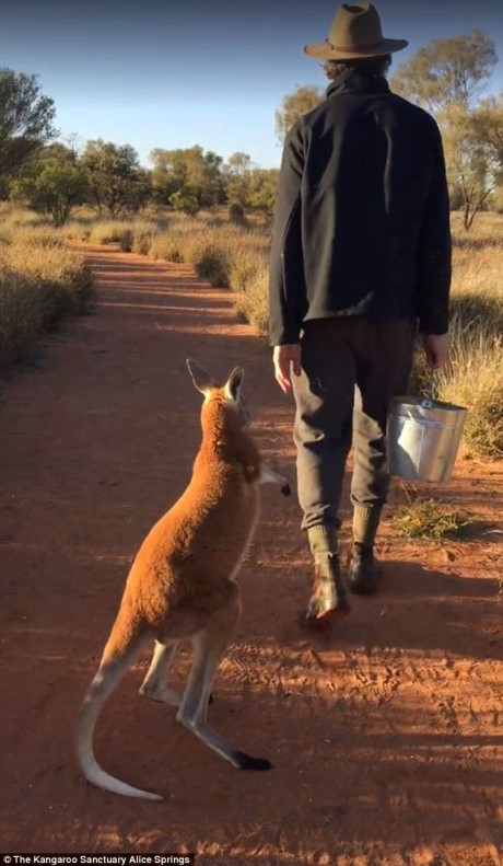 Chu chuot tui dang yeu nung niu om chat tay nguoi chu - Anh 5
