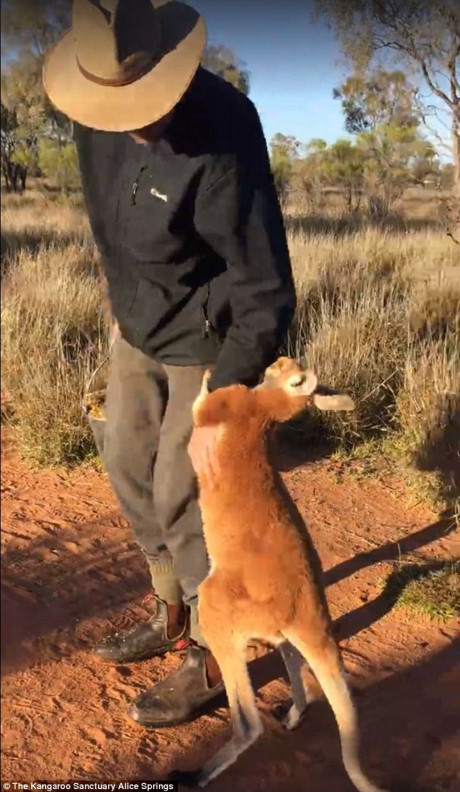 Chu chuot tui dang yeu nung niu om chat tay nguoi chu - Anh 4