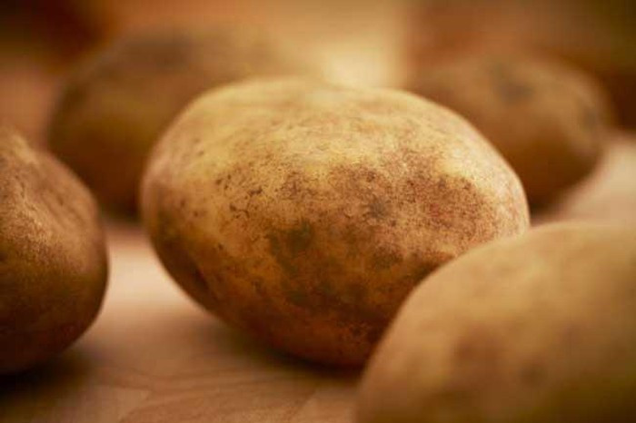 6 mẹo trị vết ong đốt tức thời ảnh 6