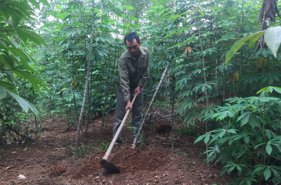 Nhờ cần cù lao động và có cách làm kinh tế đúng hướng nên gia đình ông Hồ Văn Trai đã sớm thoát nghèo vươn lên làm giàu bền vững.