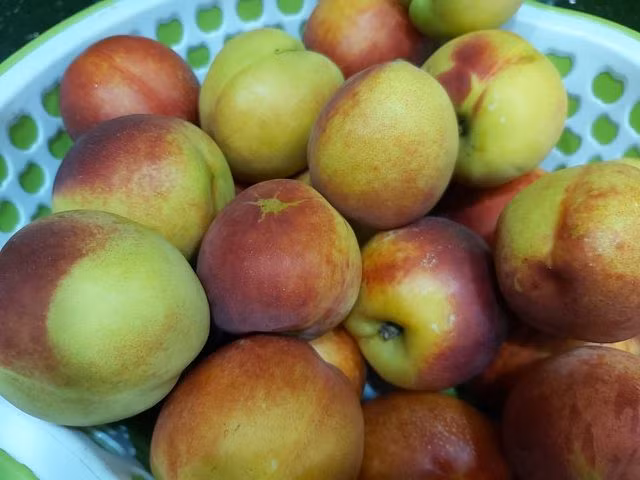 Bí quyết làm món đào ngâm đường “thần thánh” ngon như ở hàng - 1