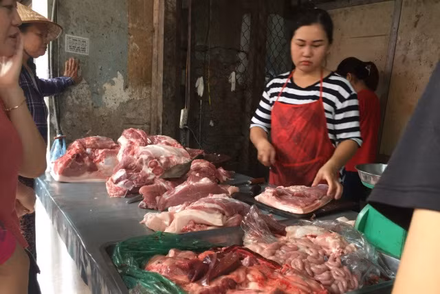 Virus gây bệnh tả lợn châu Phi rất khỏe có thể tồn tại nhiều tuần, nhiều tháng trong thức ăn chăn nuôi, các sản phẩm được chế biến từ thịt lợn