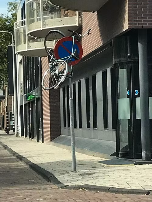 Cấm đâu đỗ đó.