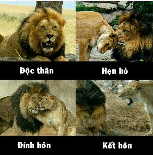 Bốn giai đoạn trong cuộc đời đàn ông. Bốn giai đoạn trong cuộc đời đàn ông.