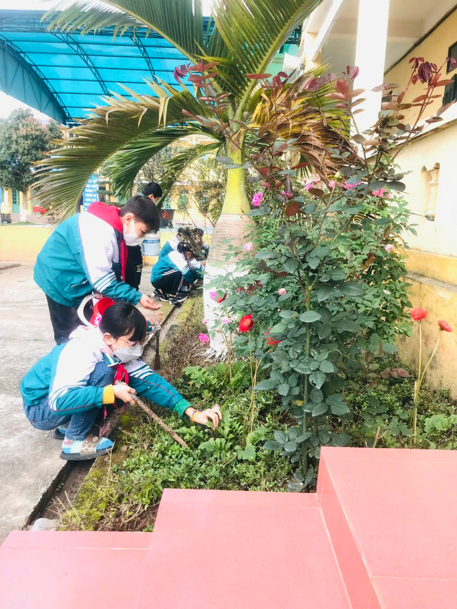 Các em học sinh trồng bổ sung cây hoa, cây cảnh ở khuôn viên nhà trường.