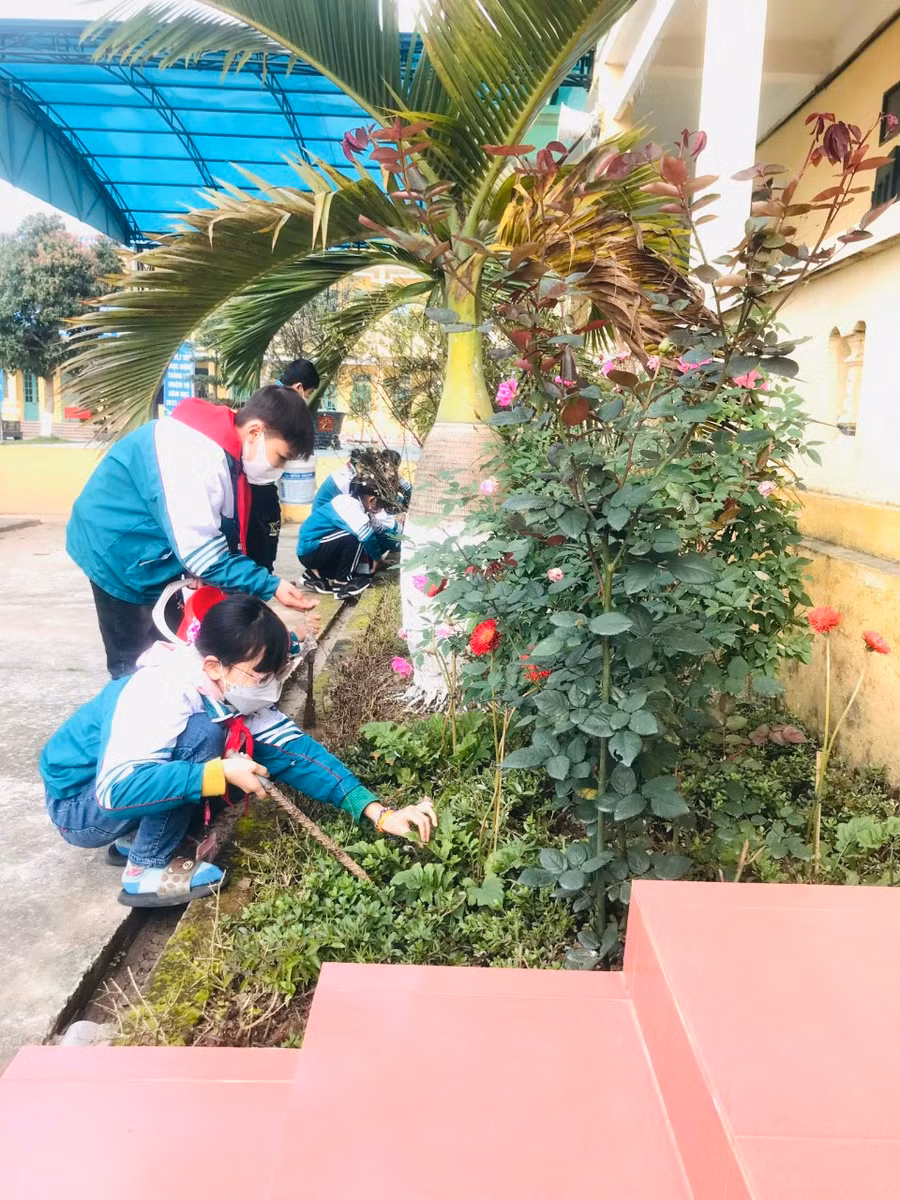 Các em học sinh trồng bổ sung cây hoa, cây cảnh ở khuôn viên nhà trường.