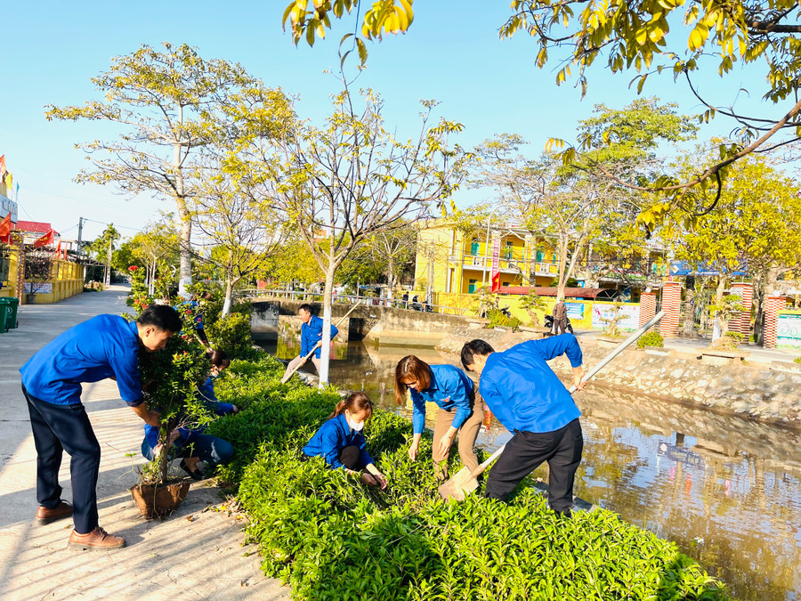 Thầy cô trồng thêm cây ăn quả, cây bóng mát cho trường.