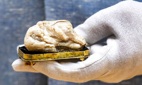 Khối ngọc trai Sư tử ngủ say tại nhà đấu giá Venduehuis, Hà Lan. Ảnh: AFP.