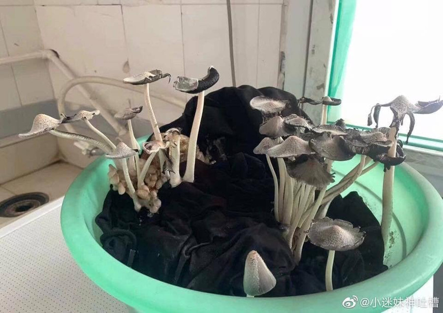 Làm sao để gây ấn tượng ngày tựu trường? ảnh 5 Làm sao để gây ấn tượng ngày tựu trường? ảnh 5