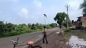 Người đàn ông bị đàn quạ tấn công.