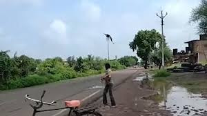 Người đàn ông bị đàn quạ tấn công.