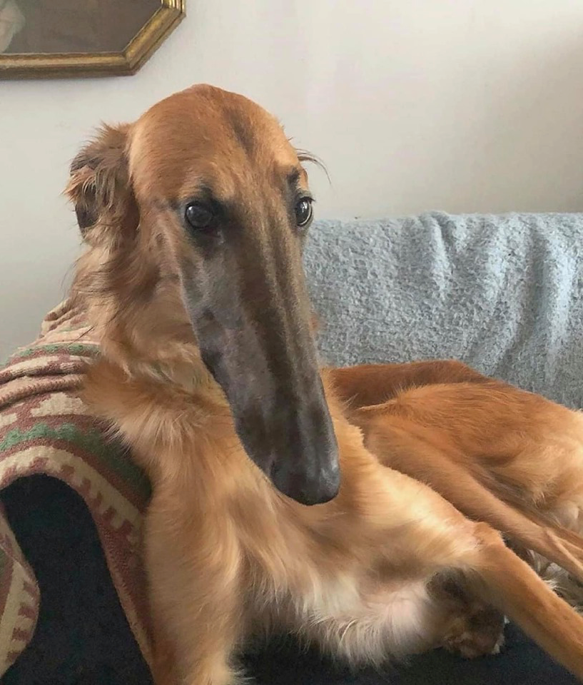 Làm sao để gây ấn tượng ngày tựu trường? ảnh 7 Làm sao để gây ấn tượng ngày tựu trường? ảnh 7