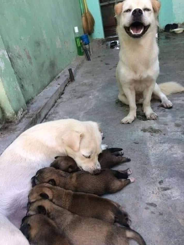 Làm sao để gây ấn tượng ngày tựu trường? ảnh 1 Làm sao để gây ấn tượng ngày tựu trường? ảnh 1