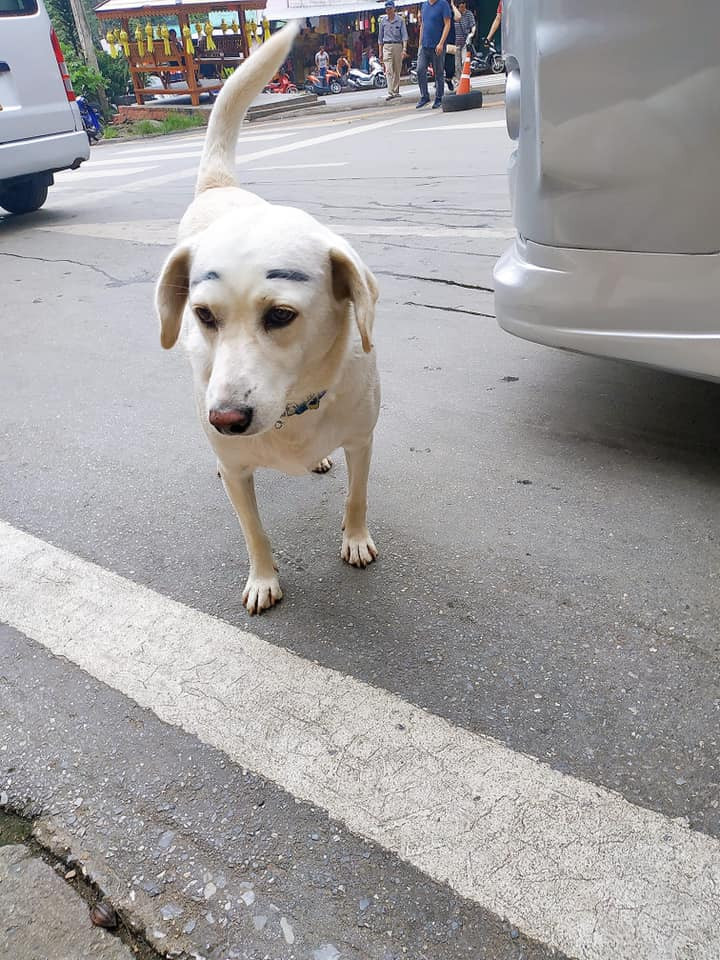 Làm sao để gây ấn tượng ngày tựu trường? ảnh 3 Làm sao để gây ấn tượng ngày tựu trường? ảnh 3