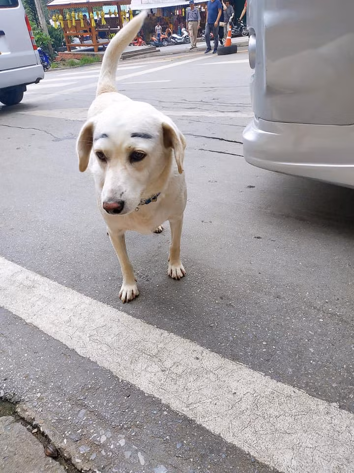 Làm sao để gây ấn tượng ngày tựu trường? ảnh 3