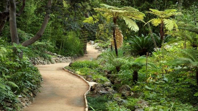 Co gi trong can biet thu dat nhat nuoc My hinh anh 16 