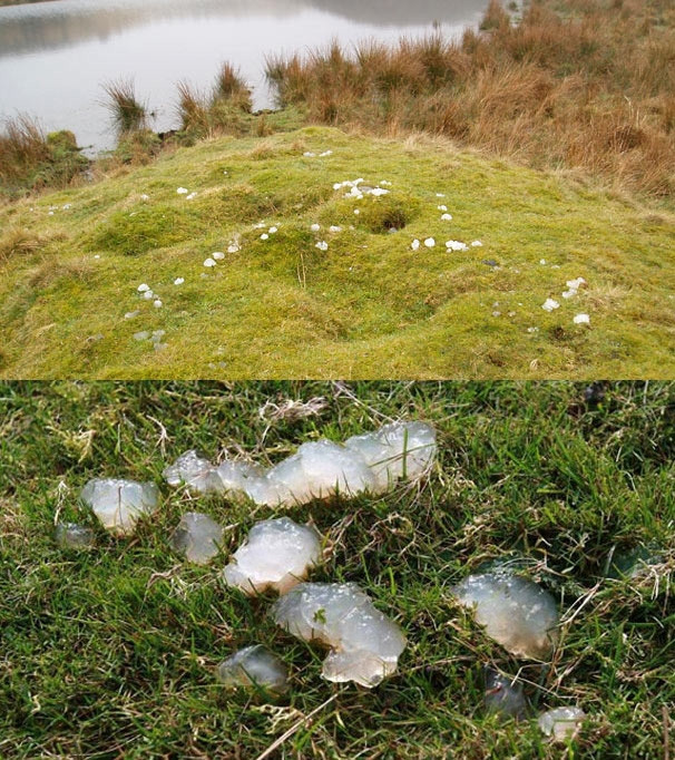 Mưa thạch: Năm 2009, hàng đống thạch trắng phau rơi xuống vùng đồi Pentland ở Scotland. Điều đáng nói là trong đống thạch đó có lẫn cả trứng ếch và nấm, dù vậy khu vực xung quanh đó lại không có một con ếch nào. Các nhà khoa học tại National Geographic đã tiến hành xét nghiệm nhưng không tìm thấy bất kỳ DNA nào trong đó. Còn các giả thuyết khác cho rằng đó chỉ là đống nôn của những con chim ó hay diệc sau khi ăn trứng ếch mà không tiêu. Mưa thạch: Năm 2009, hàng đống thạch trắng phau rơi xuống vùng đồi Pentland ở Scotland. Điều đáng nói là trong đống thạch đó có lẫn cả trứng ếch và nấm, dù vậy khu vực xung quanh đó lại không có một con ếch nào. Các nhà khoa học tại National Geographic đã tiến hành xét nghiệm nhưng không tìm thấy bất kỳ DNA nào trong đó. Còn các giả thuyết khác cho rằng đó chỉ là đống nôn của những con chim ó hay diệc sau khi ăn trứng ếch mà không tiêu.