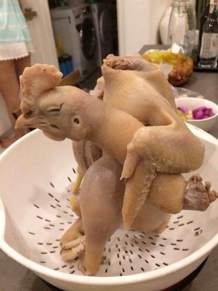 Gà cắp nách. Gà cắp nách.