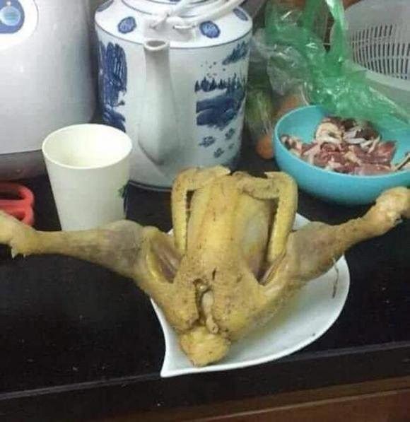 Gà tập Yoga. Gà tập Yoga.