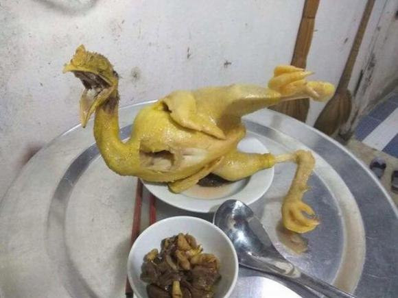 Vẫn cố thể hiện tiếng gáy! Vẫn cố thể hiện tiếng gáy!