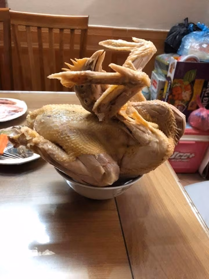 Phượng hoàng gãy cánh