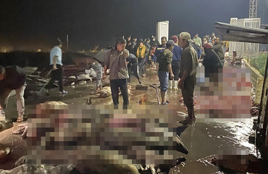 Người dân địa phương giúp ông Thịnh dọn dẹp, mổ thịt cấp đông. Người dân địa phương giúp ông Thịnh dọn dẹp, mổ thịt cấp đông.