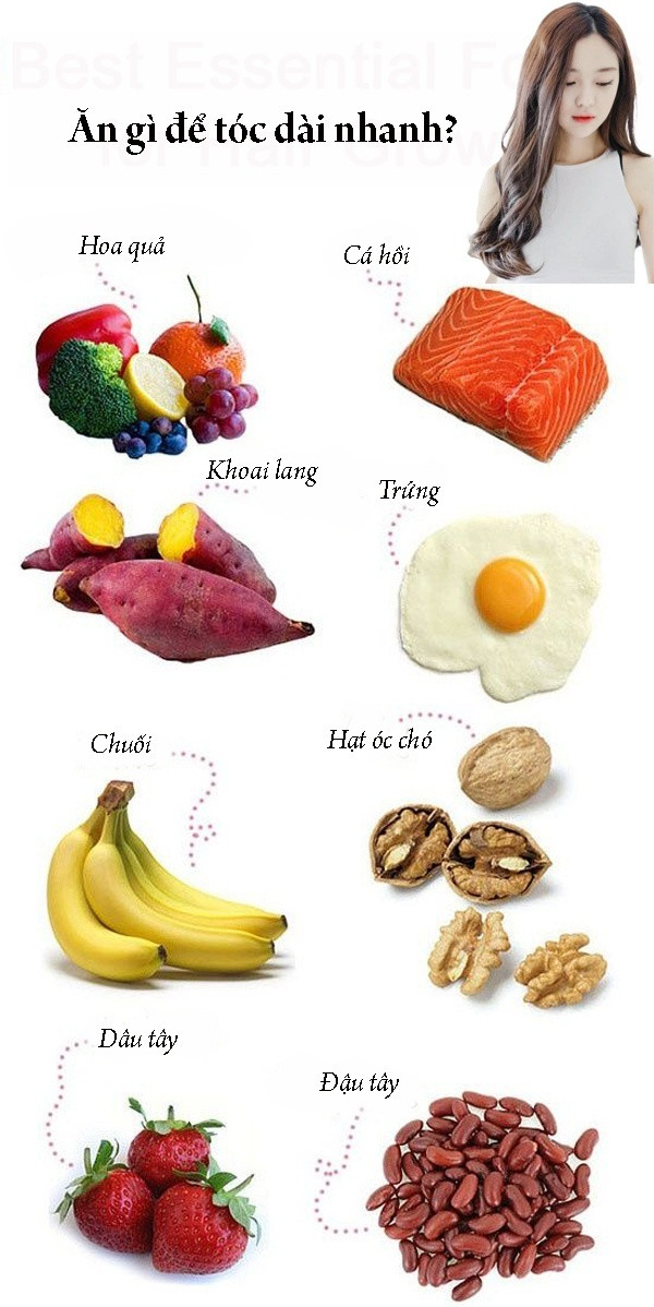 8 món nếu ăn thường xuyên tóc sẽ dài nhanh thần tốc và chắc khỏe ảnh 1 8 món nếu ăn thường xuyên tóc sẽ dài nhanh thần tốc và chắc khỏe ảnh 1