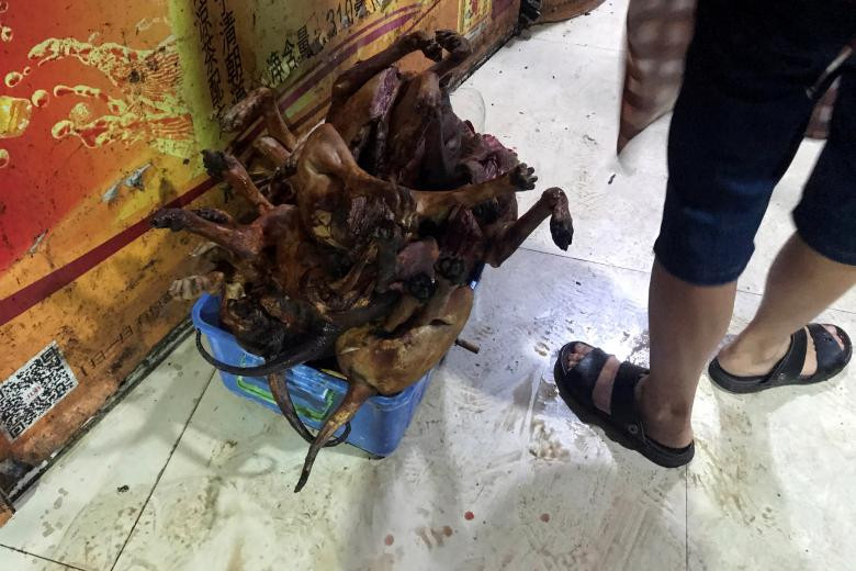 lễ hội,thịt chó,Trung Quốc