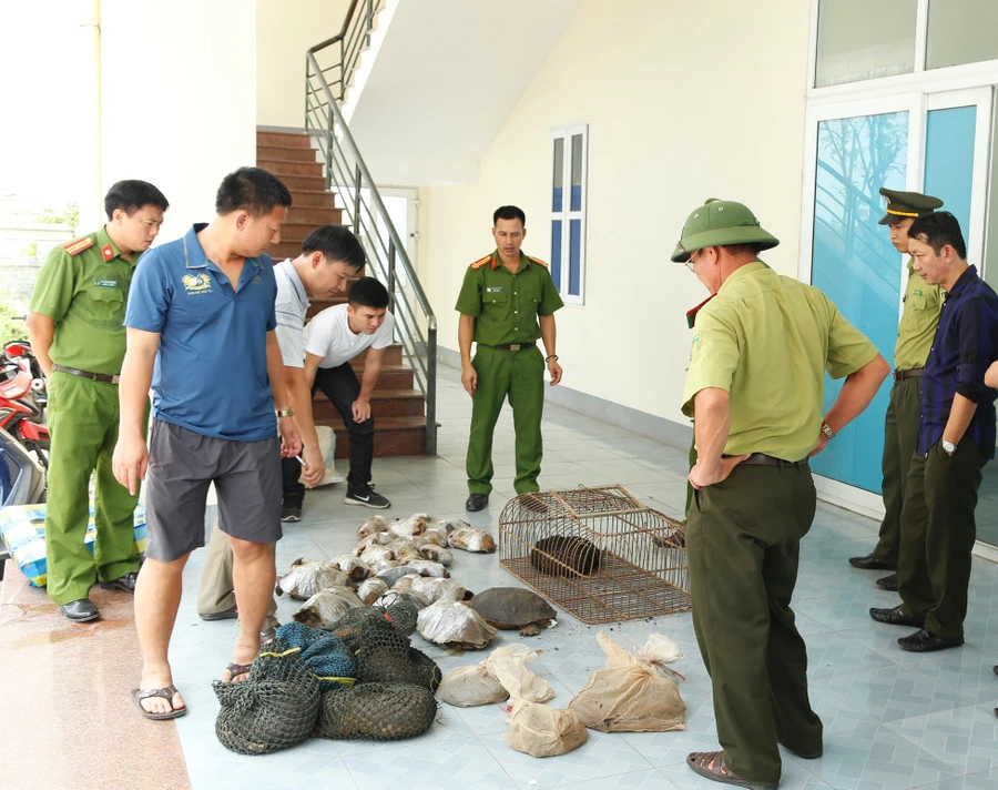 Số động vật hoang dã quý hiếm cơ quan chức năng phát hiện trên xe khách