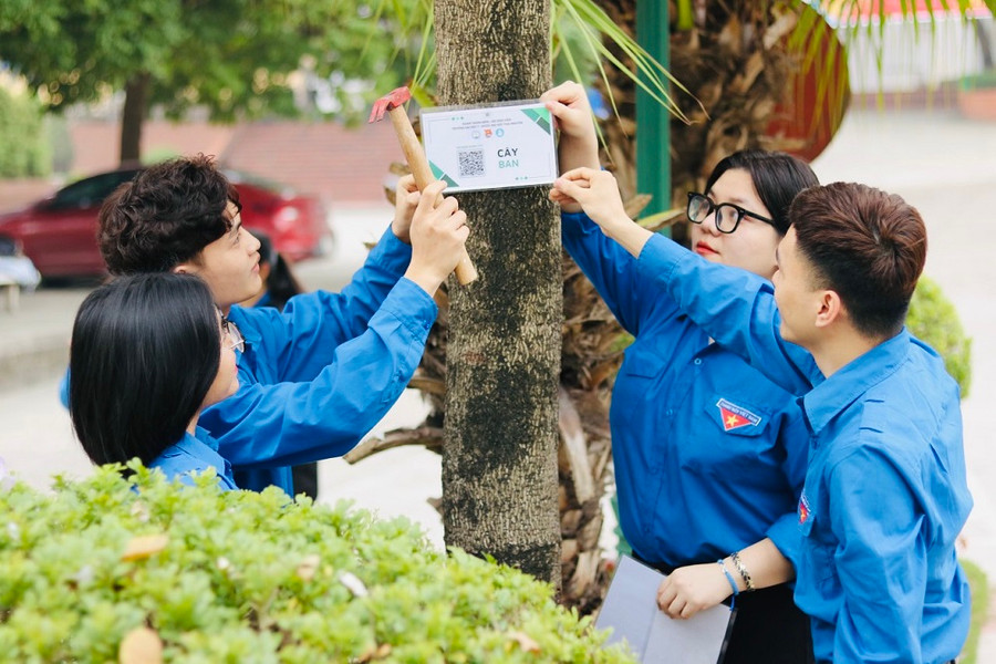 Gắn mã định danh bằng mã QR cho hệ thống cây xanh trong khuôn viên nhà trường.