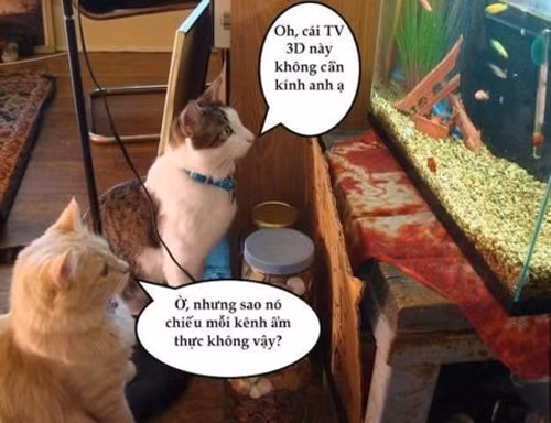 Hình ảnh chân thực đến từng chi tiết.