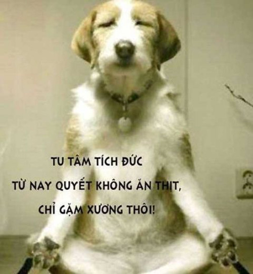 Nhớ chưa các thanh niên. Nhớ chưa các thanh niên.