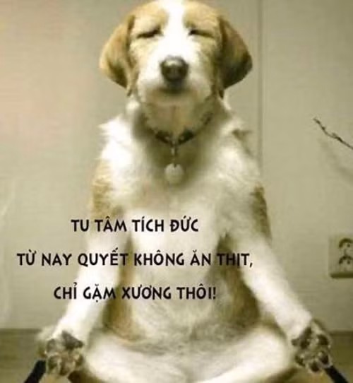 Nhớ chưa các thanh niên.