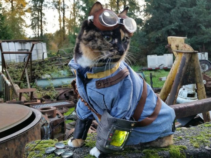 Soái miu cosplay khiến người xem sửng sốt về độ bảnh 