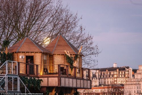 ngoi nha tren cay giua thanh pho london hinh anh 7