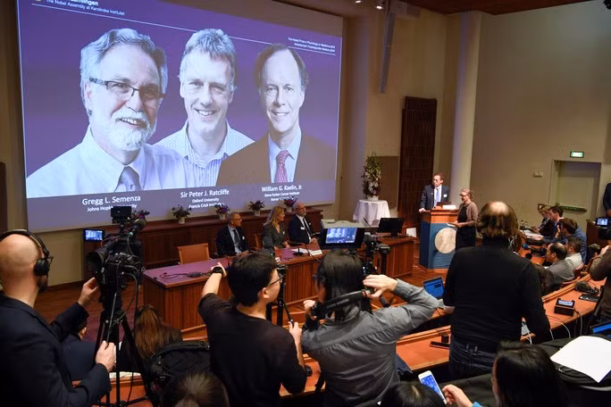 Giải thưởng Nobel Y học 2019 vinh danh 3 nhà khoa học Gregg Semenza, Peter Ratcliffe và William Kaelin Ảnh: REUTERS