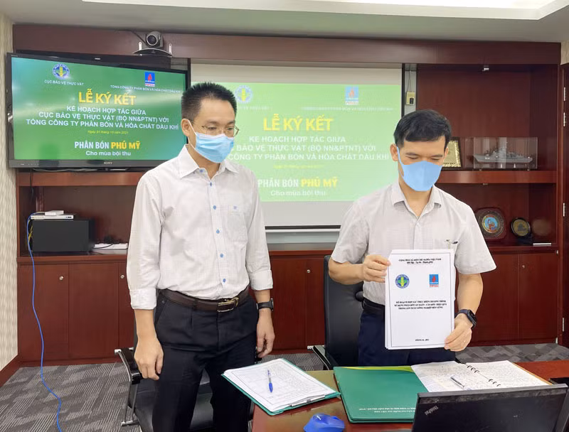 PVFCCo tích cực hợp tác triển khai chương trình sử dụng phân bón an toàn, cân đối, hiệu quả 