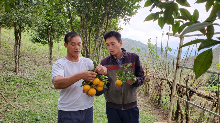 Ông Lai (áo trắng) khoe thành quả sau nhiều năm học hỏi kinh nghiệm từ nước bạn Lào.