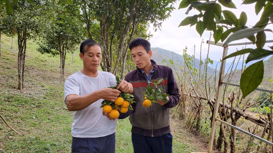 Ông Lai (áo trắng) khoe thành quả sau nhiều năm học hỏi kinh nghiệm từ nước bạn Lào.