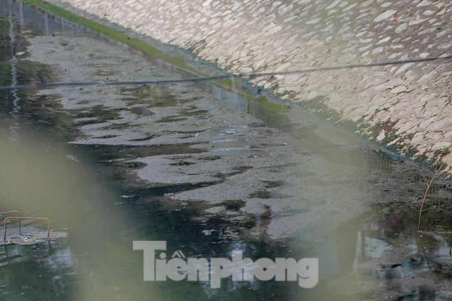 Nước sông Tô Lịch ra sao sau 10 ngày thí điểm 
