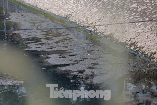 Nước sông Tô Lịch ra sao sau 10 ngày thí điểm 