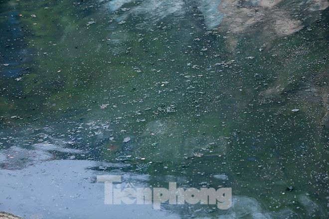 Nước sông Tô Lịch ra sao sau 10 ngày thí điểm 